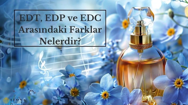 EDT, EDP ve EDC Arasındaki Farklar Nelerdir