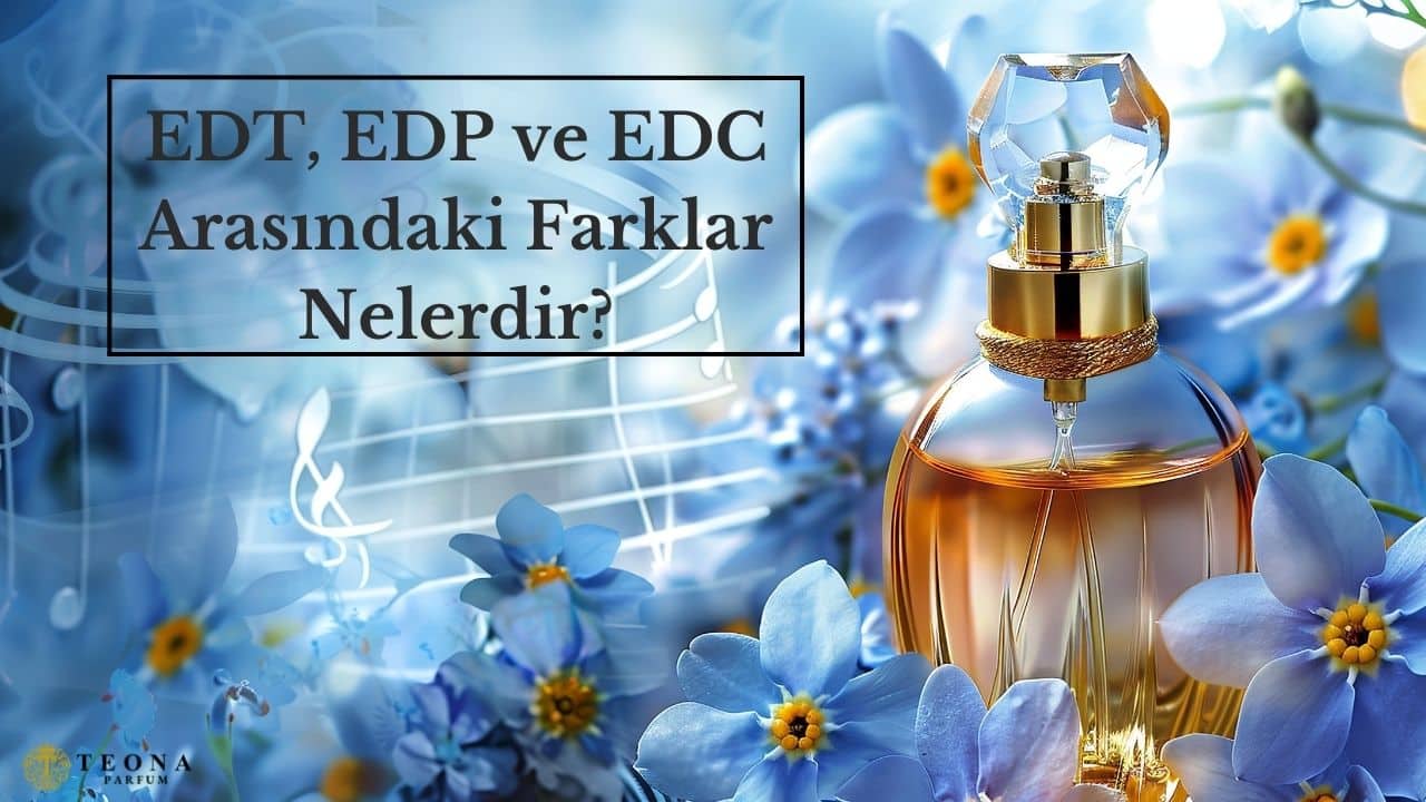 EDT, EDP ve EDC Arasındaki Farklar Nelerdir