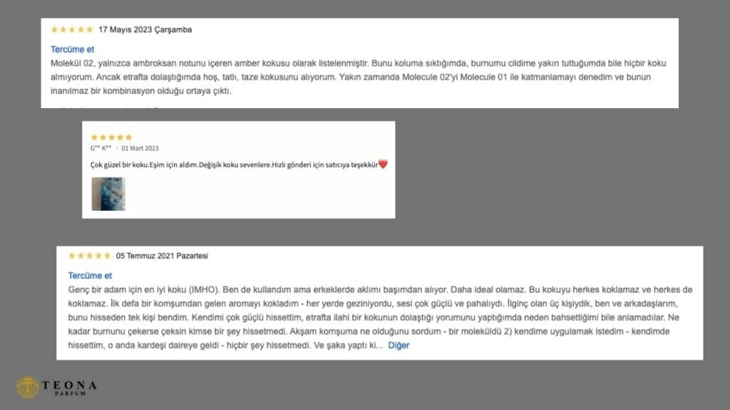 Escentric Molecules Parfüm Kullanıcı Yorumları