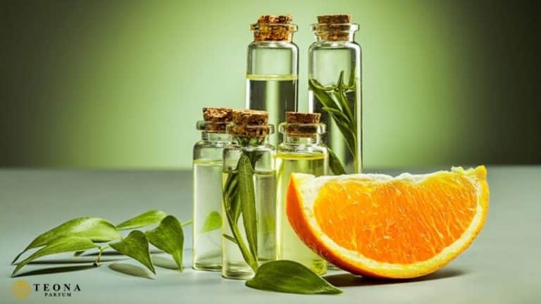 Fresh Koku Nedir