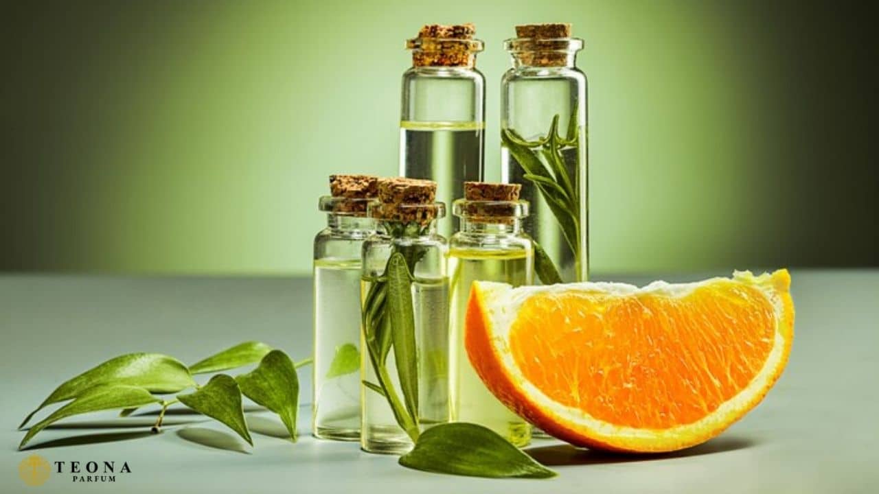Fresh Koku Nedir